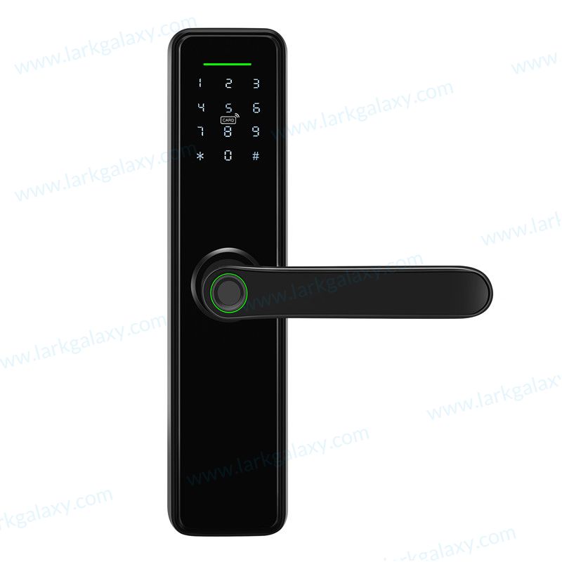 AX7 Hot Selling Economic Fingerprint Bluetooth Smart Lock